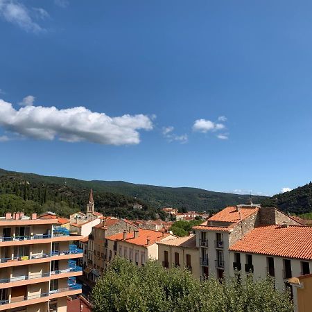 Hotel Des Bains Et Des Gorges Amélie-les-Bains-Palalda المظهر الخارجي الصورة